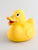 Baby Mallard