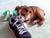 Bulldog